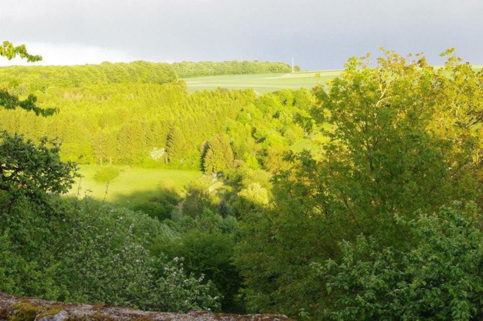 B&B Chez Fouchs - Chambre D'Hotes Dun-sur-Meuse Kültér fotó