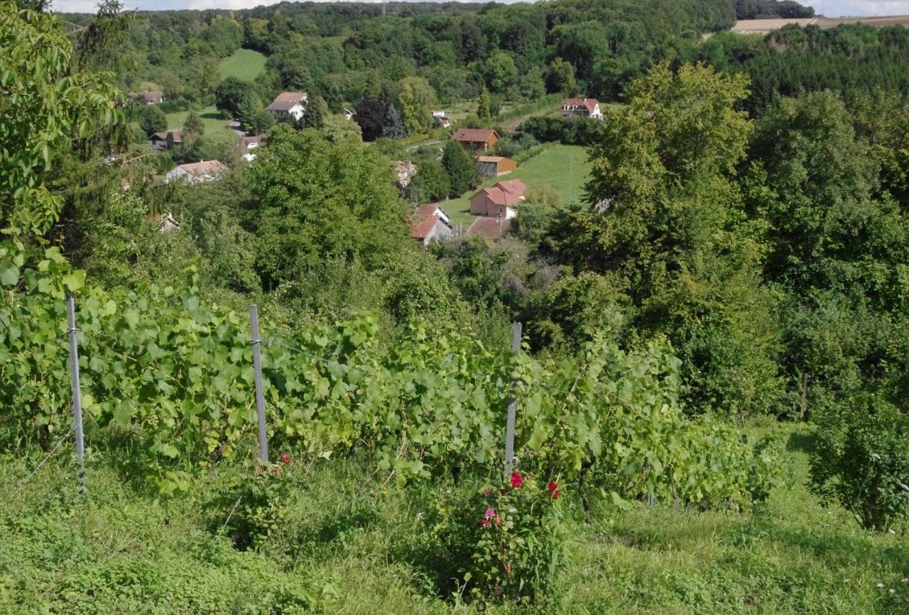 B&B Chez Fouchs - Chambre D'Hotes Dun-sur-Meuse Kültér fotó